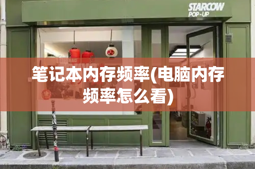 笔记本内存频率(电脑内存频率怎么看)