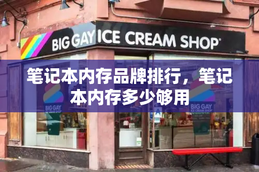 笔记本内存品牌排行，笔记本内存多少够用