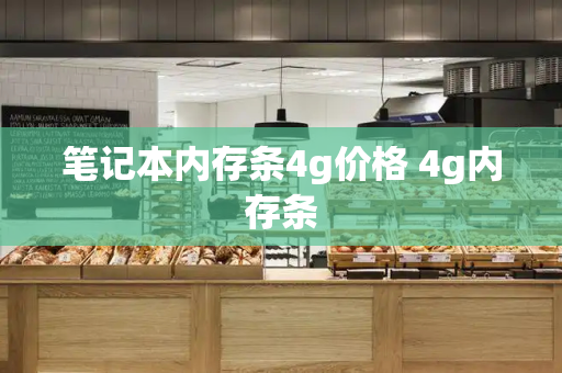 笔记本内存条4g价格 4g内存条-第1张图片-星选测评