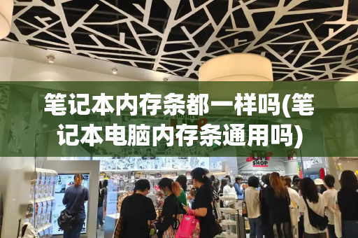 笔记本内存条都一样吗(笔记本电脑内存条通用吗)