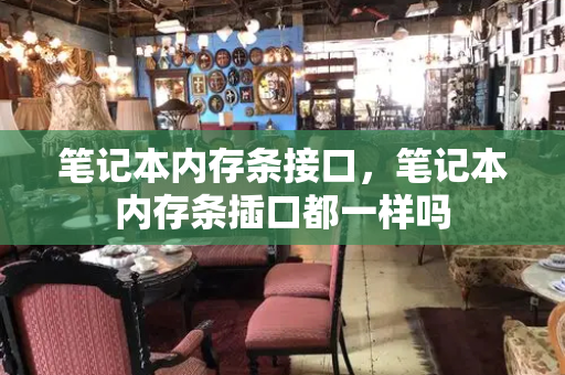 笔记本内存条接口，笔记本内存条插口都一样吗-第1张图片-星选测评