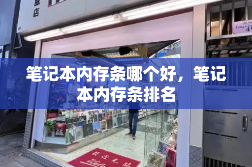 笔记本内存条哪个好，笔记本内存条排名-第1张图片-星选测评