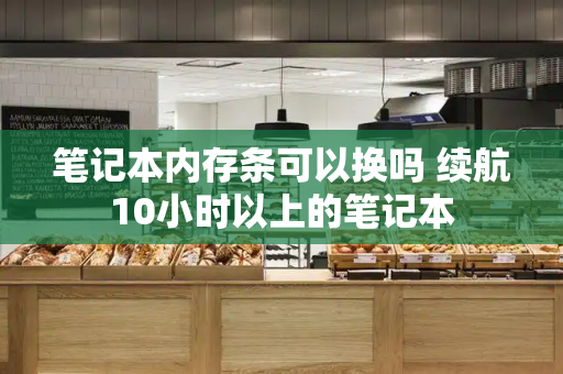 笔记本内存条可以换吗 续航10小时以上的笔记本-第1张图片-星选测评