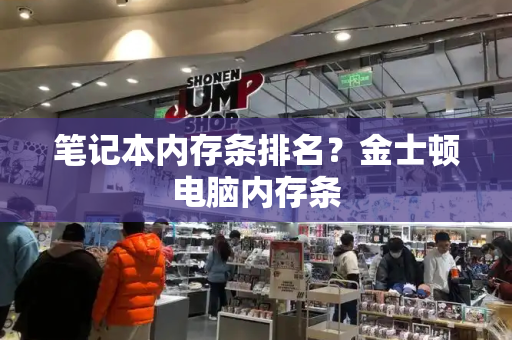 笔记本内存条排名？金士顿电脑内存条-第1张图片-星选测评