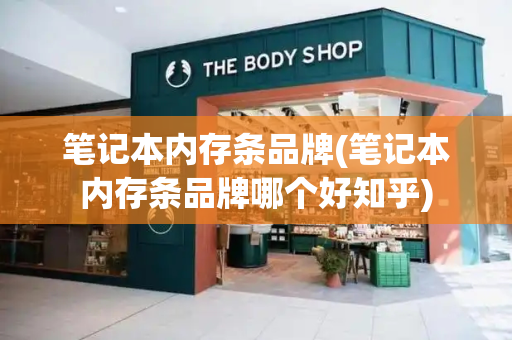 笔记本内存条品牌(笔记本内存条品牌哪个好知乎)-第1张图片-星选测评