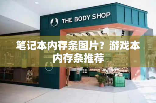 笔记本内存条图片？游戏本内存条推荐