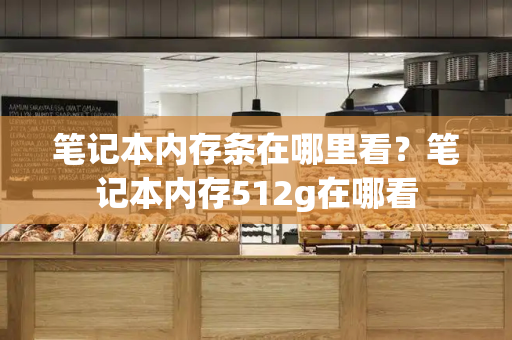 笔记本内存条在哪里看？笔记本内存512g在哪看-第1张图片-星选测评