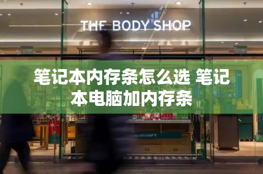笔记本内存条怎么选 笔记本电脑加内存条-第1张图片-星选测评