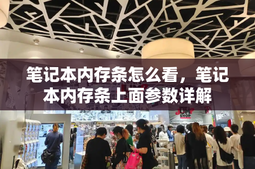 笔记本内存条怎么看，笔记本内存条上面参数详解-第1张图片-星选测评