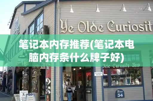 笔记本内存推荐(笔记本电脑内存条什么牌子好)-第1张图片-星选测评