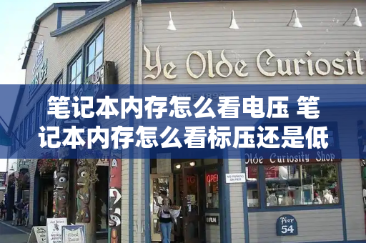 笔记本内存怎么看电压 笔记本内存怎么看标压还是低压-第1张图片-星选测评