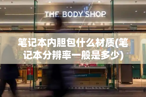 笔记本内胆包什么材质(笔记本分辨率一般是多少)-第1张图片-星选测评
