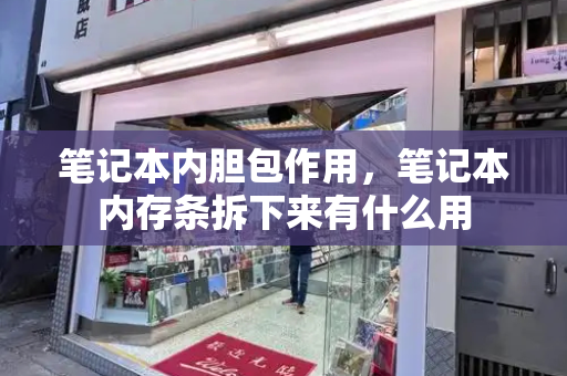 笔记本内胆包作用，笔记本内存条拆下来有什么用-第1张图片-星选测评