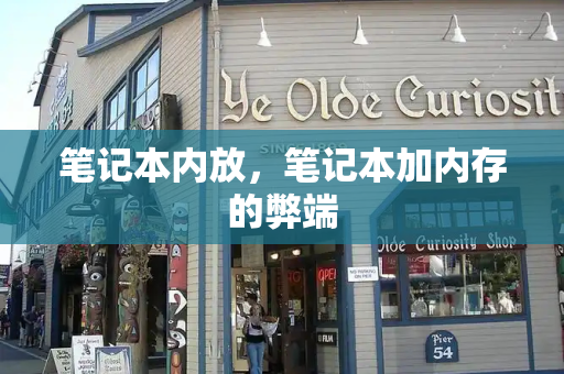 笔记本内放，笔记本加内存的弊端