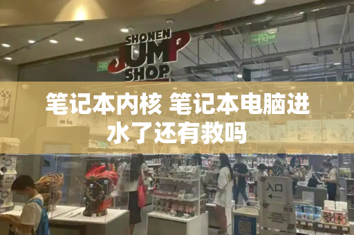笔记本内核 笔记本电脑进水了还有救吗
