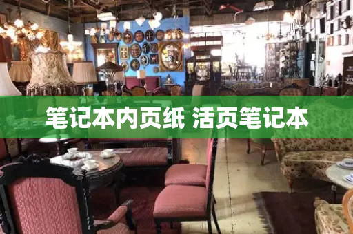 笔记本内页纸 活页笔记本