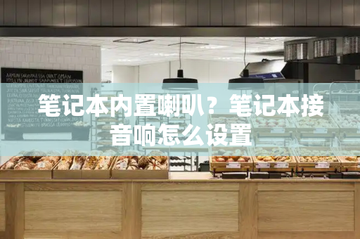 笔记本内置喇叭？笔记本接音响怎么设置-第1张图片-星选测评