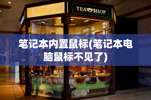 笔记本内置鼠标(笔记本电脑鼠标不见了)-第1张图片-星选测评
