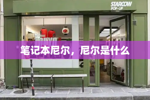 笔记本尼尔，尼尔是什么-第1张图片-星选测评