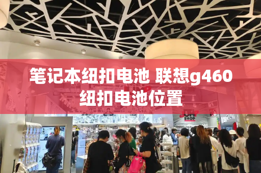 笔记本纽扣电池 联想g460纽扣电池位置