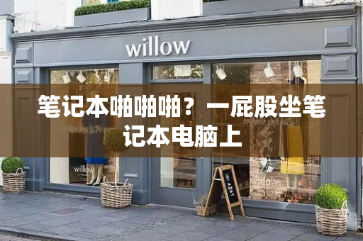 笔记本啪啪啪？一屁股坐笔记本电脑上