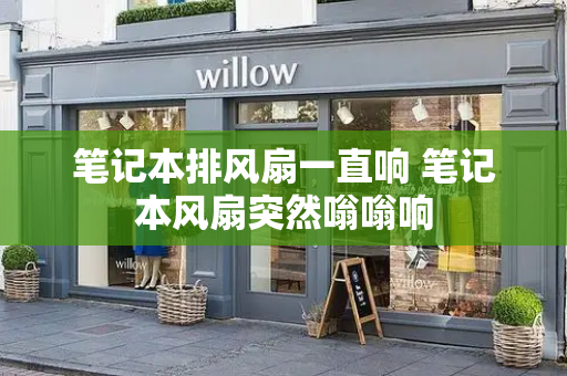 笔记本排风扇一直响 笔记本风扇突然嗡嗡响-第1张图片-星选测评