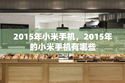 2015年小米手机，2015年的小米手机有哪些-第1张图片-星选测评
