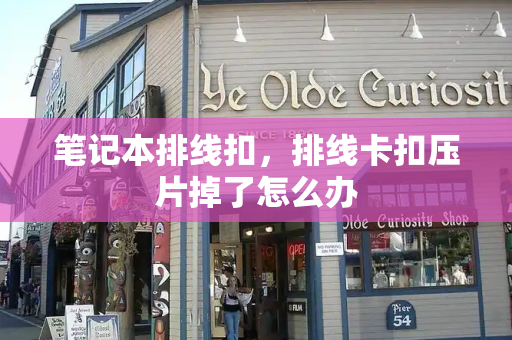 笔记本排线扣，排线卡扣压片掉了怎么办-第1张图片-星选测评
