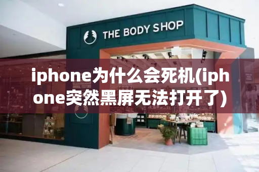 iphone为什么会死机(iphone突然黑屏无法打开了)