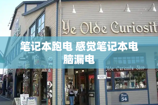笔记本跑电 感觉笔记本电脑漏电