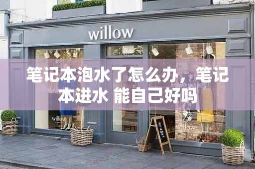 笔记本泡水了怎么办，笔记本进水 能自己好吗