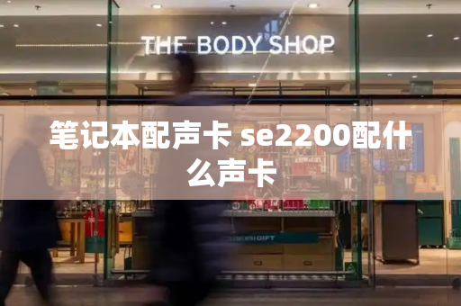 笔记本配声卡 se2200配什么声卡