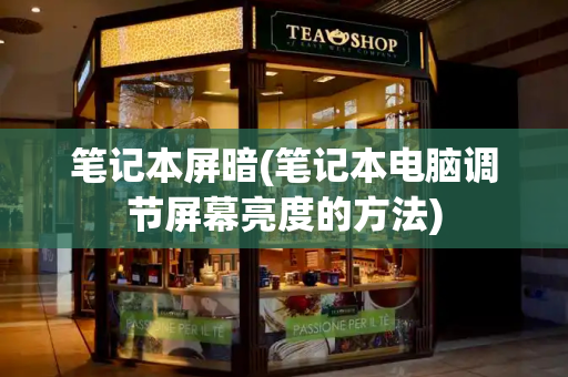 笔记本屏暗(笔记本电脑调节屏幕亮度的方法)-第1张图片-星选测评