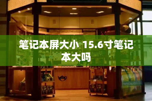 笔记本屏大小 15.6寸笔记本大吗-第1张图片-星选测评