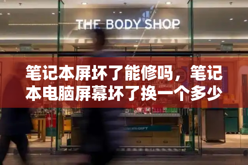 笔记本屏坏了能修吗，笔记本电脑屏幕坏了换一个多少钱-第1张图片-星选测评