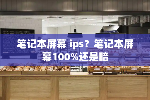笔记本屏幕 ips？笔记本屏幕100%还是暗