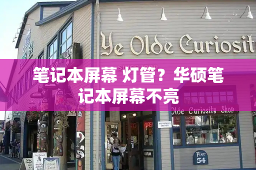 笔记本屏幕 灯管？华硕笔记本屏幕不亮-第1张图片-星选测评