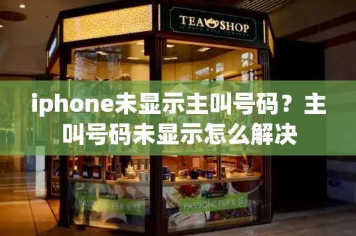 iphone未显示主叫号码？主叫号码未显示怎么解决-第1张图片-星选测评