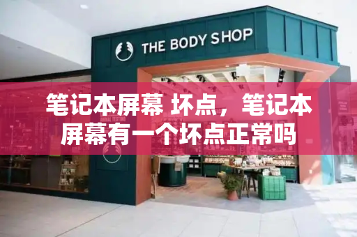 笔记本屏幕 坏点，笔记本屏幕有一个坏点正常吗-第1张图片-星选测评
