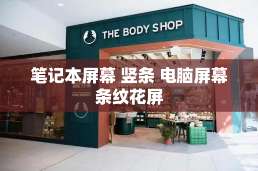 笔记本屏幕 竖条 电脑屏幕条纹花屏-第1张图片-星选测评