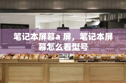 笔记本屏幕a 屏，笔记本屏幕怎么看型号-第1张图片-星选测评