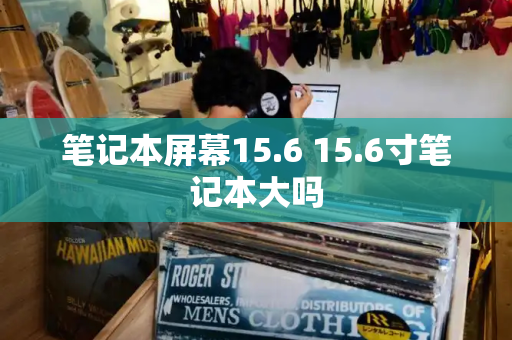 笔记本屏幕15.6 15.6寸笔记本大吗