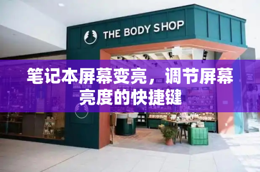 笔记本屏幕变亮，调节屏幕亮度的快捷键