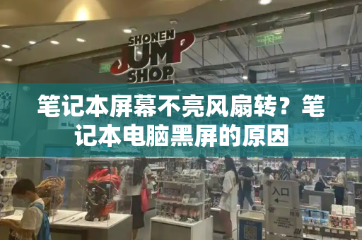 笔记本屏幕不亮风扇转？笔记本电脑黑屏的原因-第1张图片-星选测评