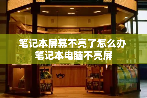 笔记本屏幕不亮了怎么办 笔记本电脑不亮屏