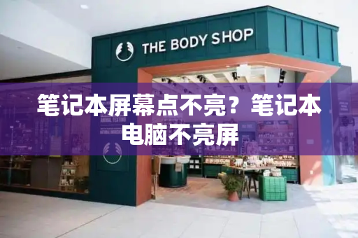 笔记本屏幕点不亮？笔记本电脑不亮屏-第1张图片-星选测评