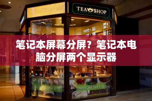 笔记本屏幕分屏？笔记本电脑分屏两个显示器-第1张图片-星选测评