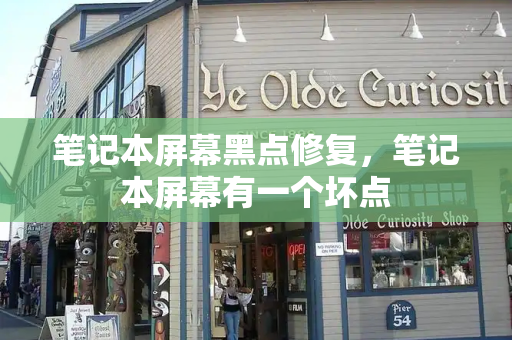笔记本屏幕黑点修复，笔记本屏幕有一个坏点-第1张图片-星选测评