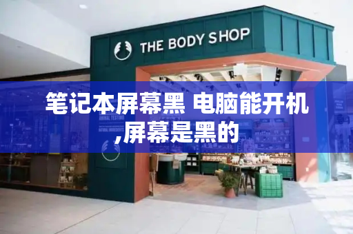 笔记本屏幕黑 电脑能开机,屏幕是黑的-第1张图片-星选测评