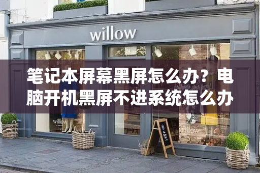 笔记本屏幕黑屏怎么办？电脑开机黑屏不进系统怎么办